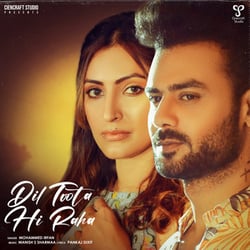 Dil Toota Hi Raha Lyrics - Mohammed Irfan, Manish S Sharmaa & Pankaj Dixit
