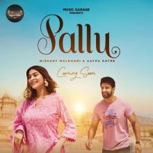 Pallu Lyrics - Altamash Faridi, Asif Faridi & Rehman Raza