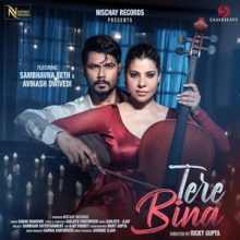 Tere Bina Lyrics - Samar Monsoon & Sanjeev-Ajay